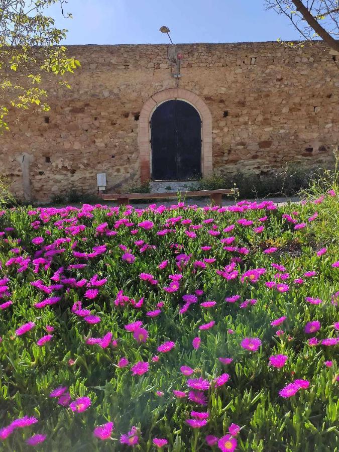 Finca Las Rosas De Santa Ana Villamartín Eksteriør bilde