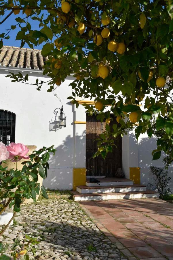 Finca Las Rosas De Santa Ana Villamartín Eksteriør bilde