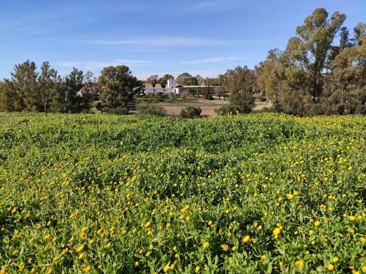Finca Las Rosas De Santa Ana Villamartín Eksteriør bilde
